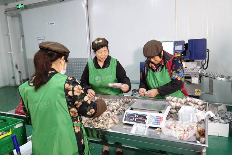 保定食品批发：一站式采购平台